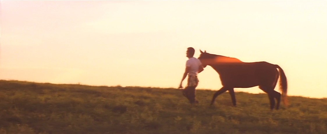 远山的呼唤剧照的剧照