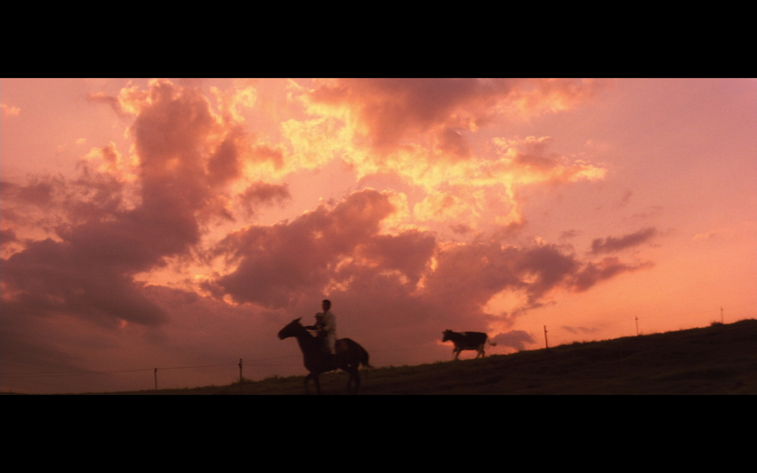 远山的呼唤剧照的剧照