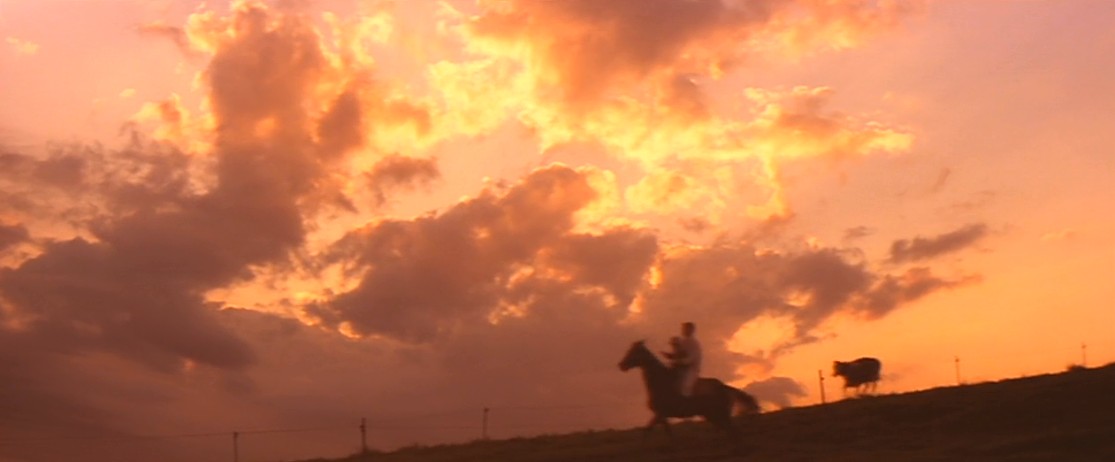 远山的呼唤剧照的剧照