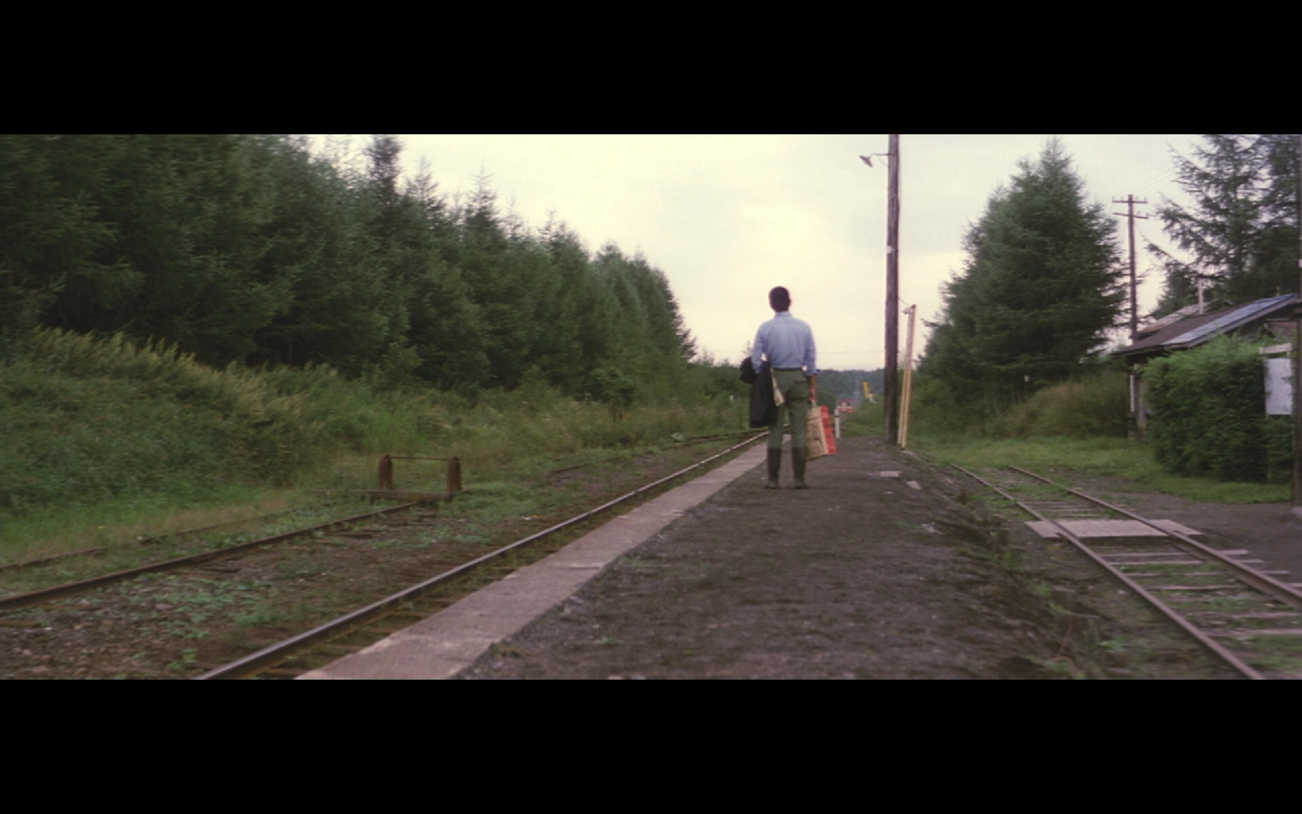 远山的呼唤剧照的剧照