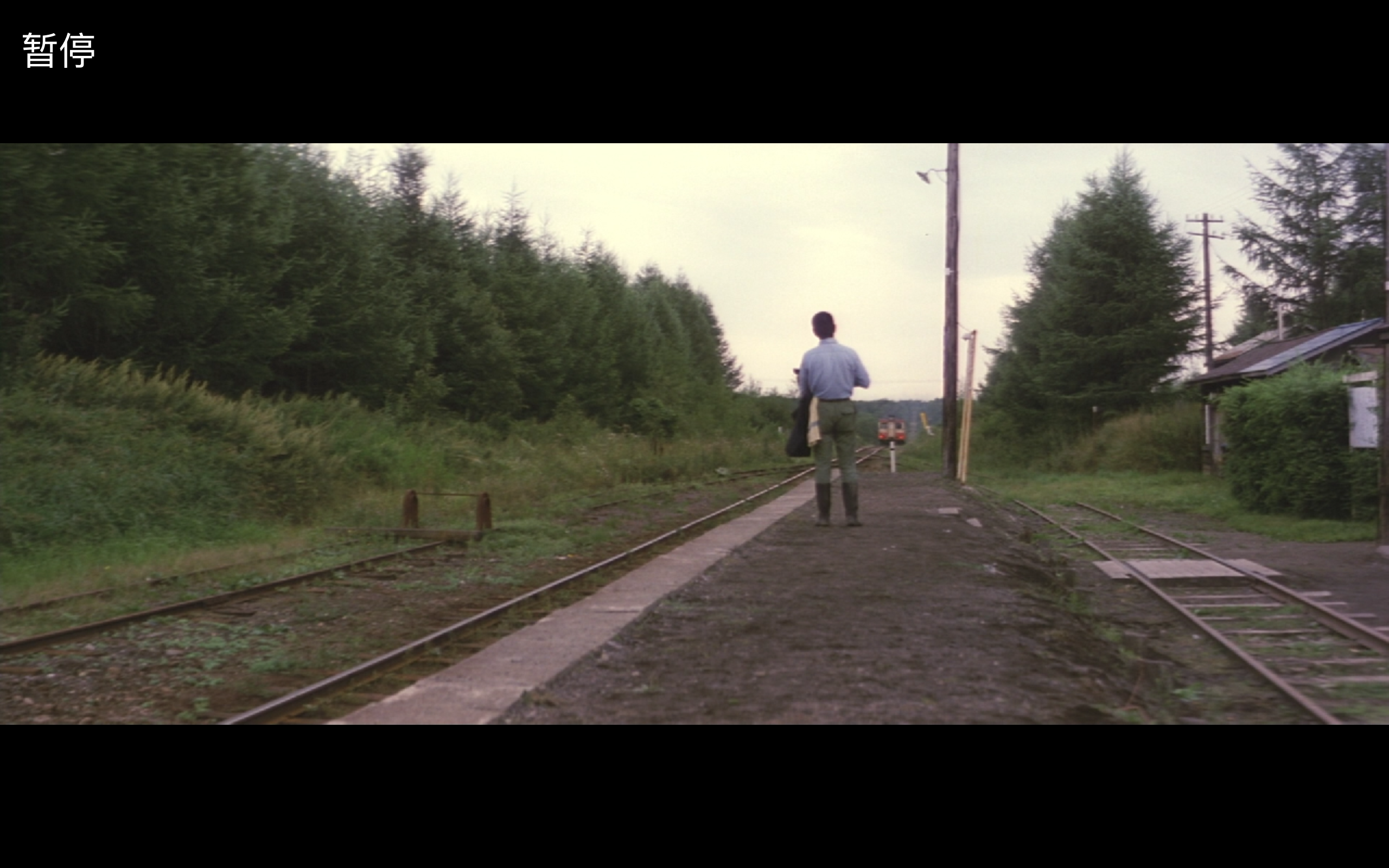 远山的呼唤剧照的剧照