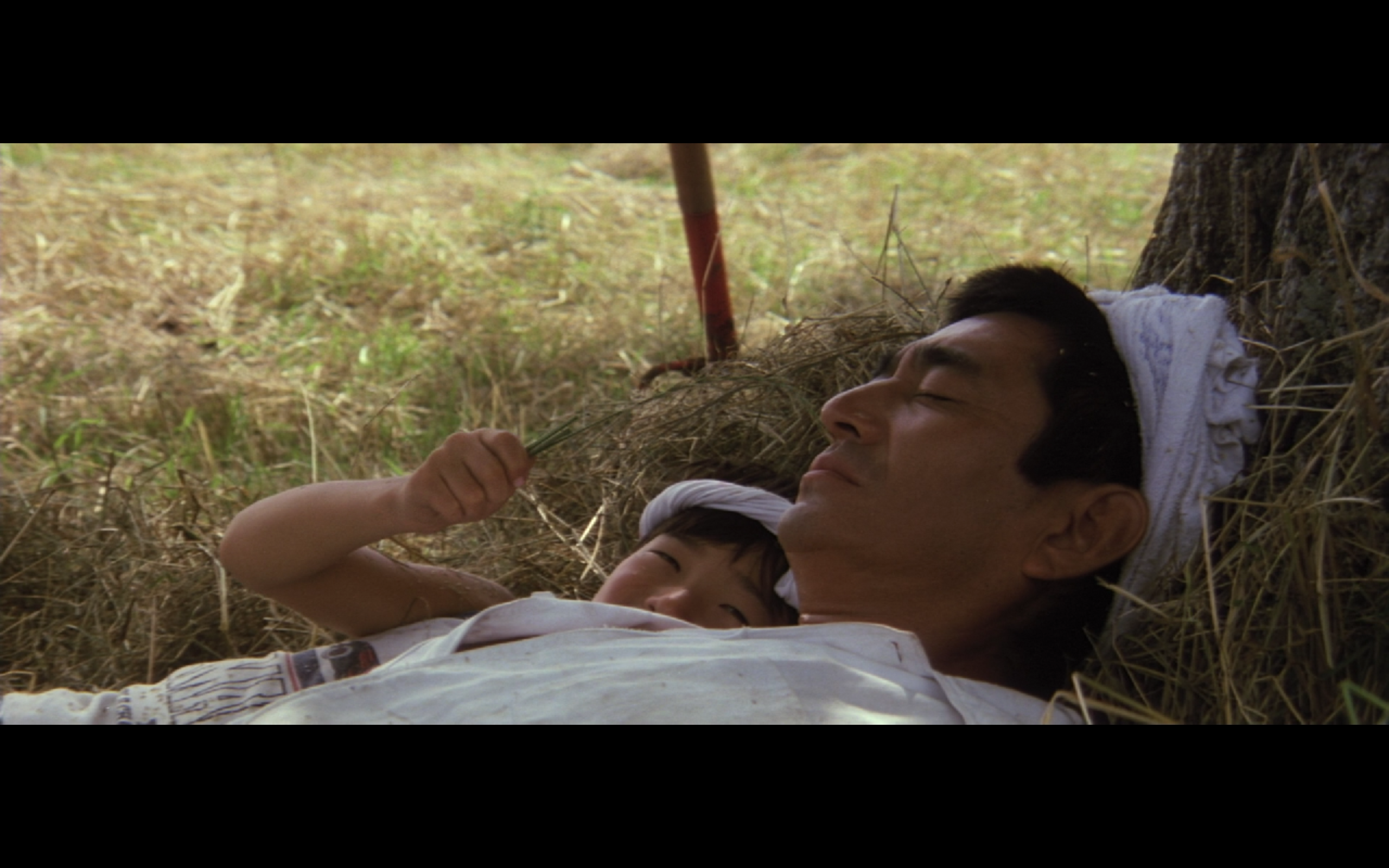 远山的呼唤剧照的剧照