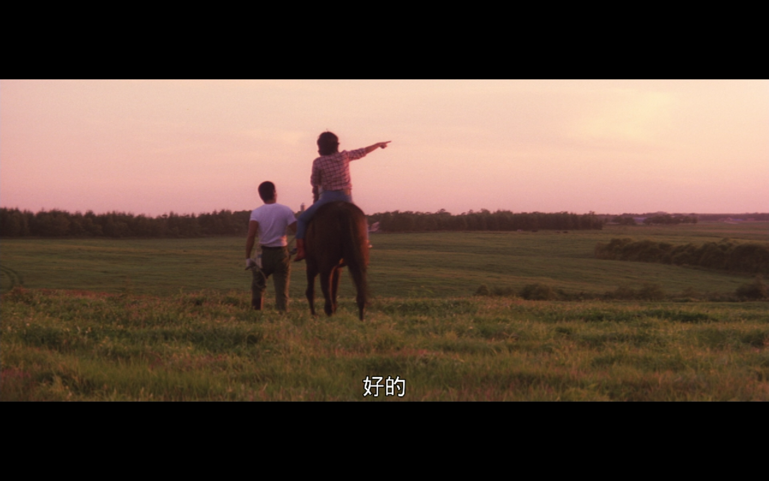 远山的呼唤剧照的剧照