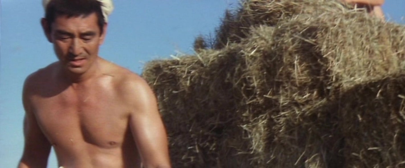 远山的呼唤剧照的剧照