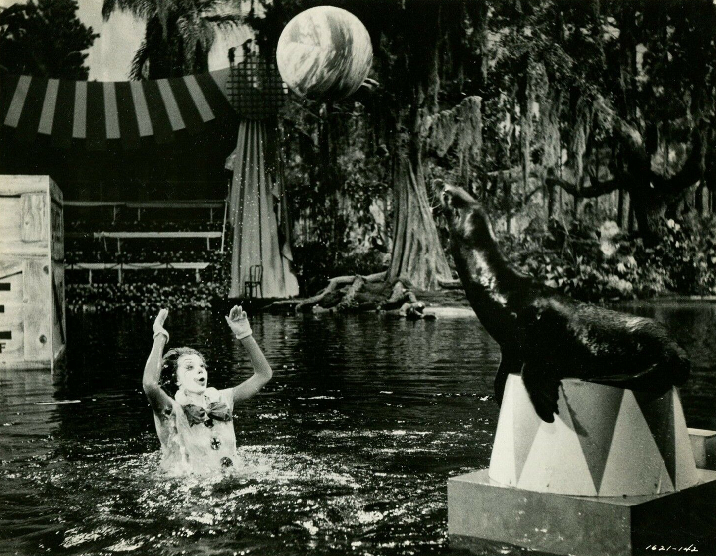 简单爱剧照的剧照