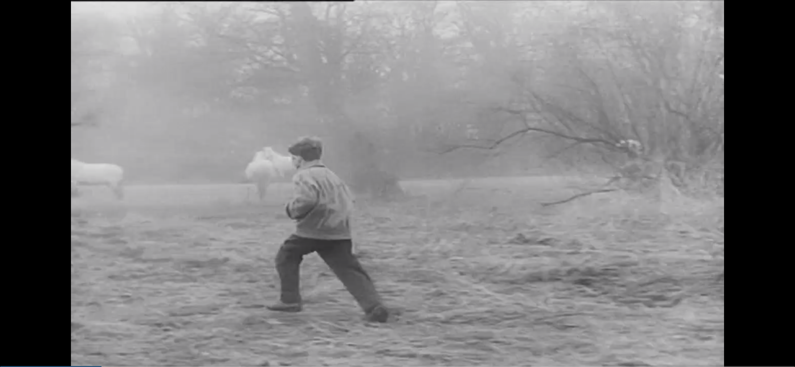 密码剧照的剧照