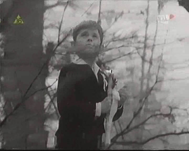 密码剧照的剧照