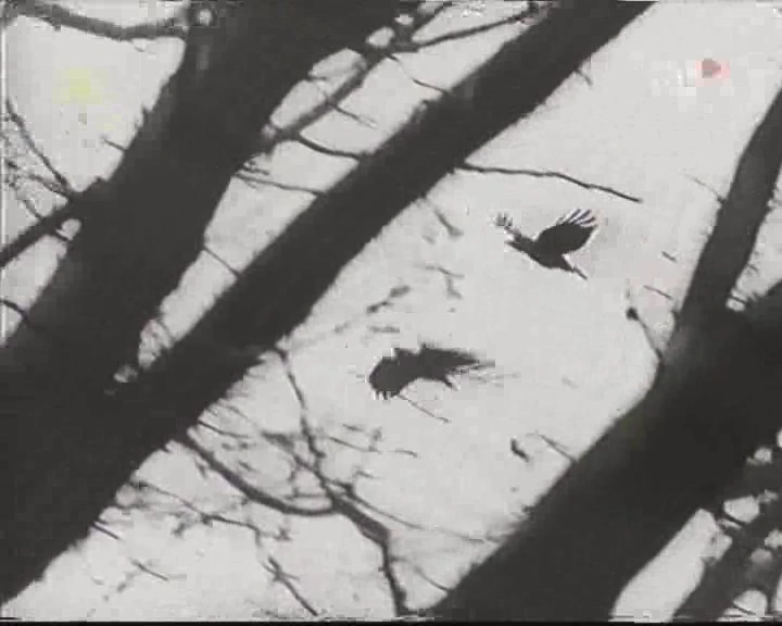 密码剧照的剧照