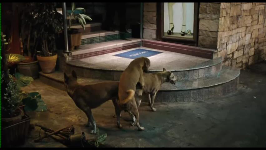 妓女的荣耀剧照的剧照