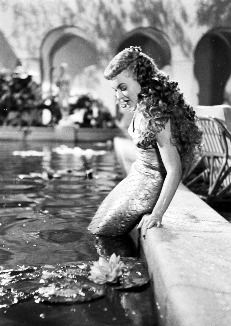 彼伯先生与美人鱼剧照的剧照