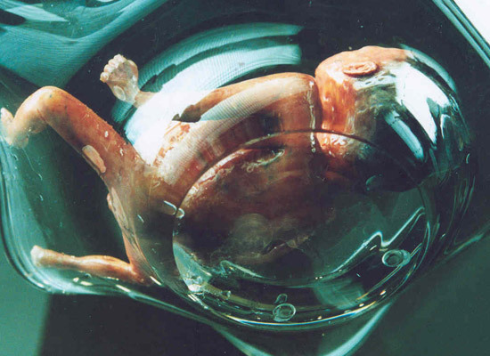 三更2剧照的剧照