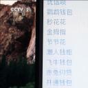 2019年中央广播电视总台3·15晚会剧照