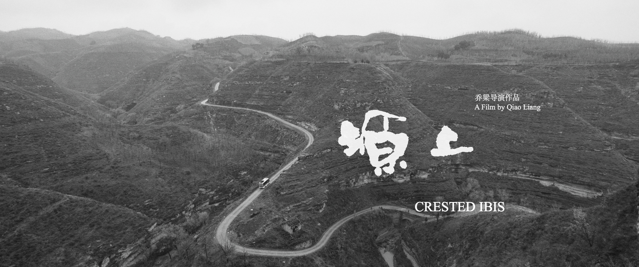 塬上剧照的剧照