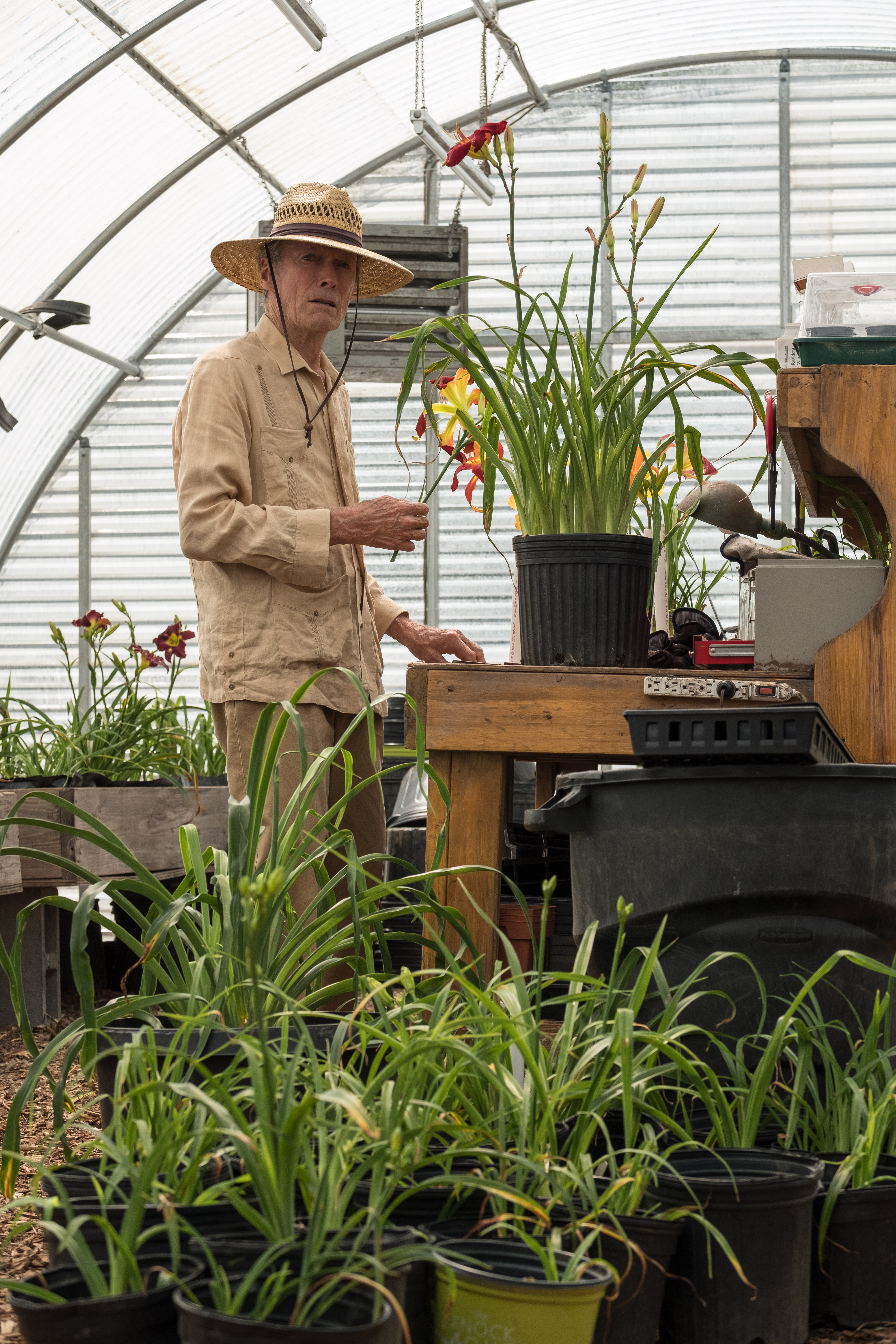 骡子剧照的剧照
