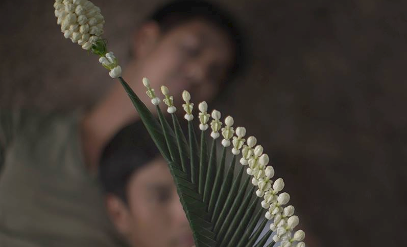 告别茉莉剧照的剧照