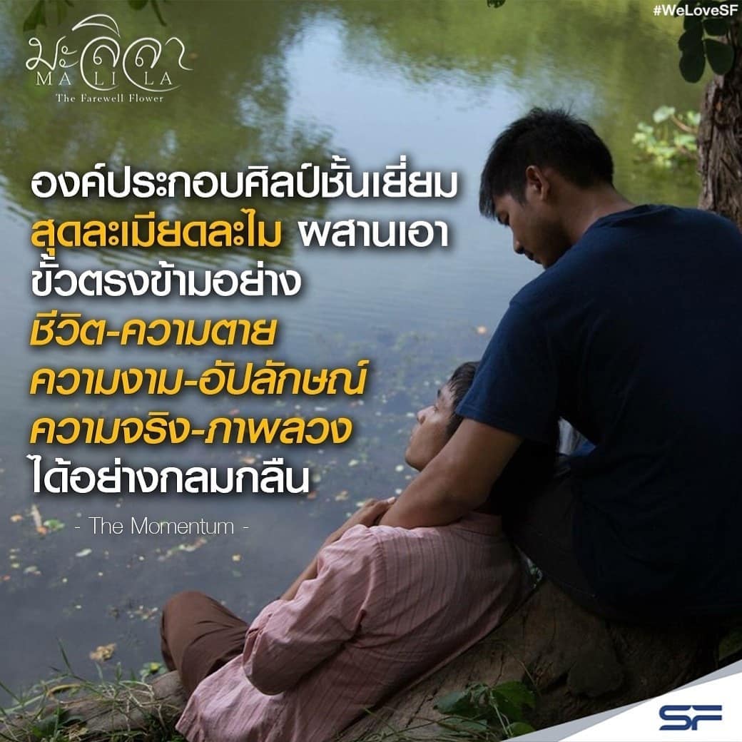 告别茉莉剧照的剧照