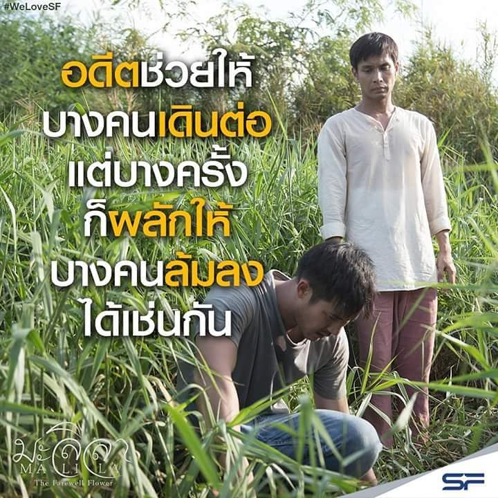 告别茉莉剧照的剧照