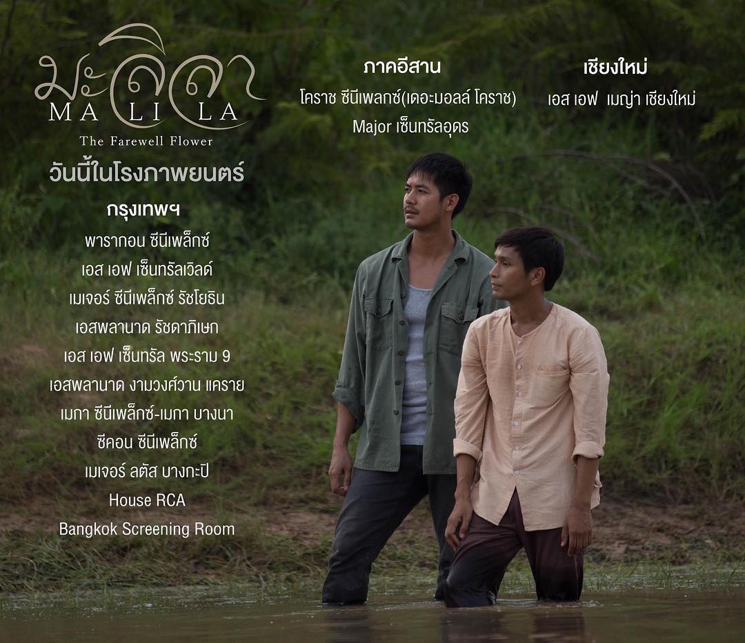 告别茉莉剧照的剧照