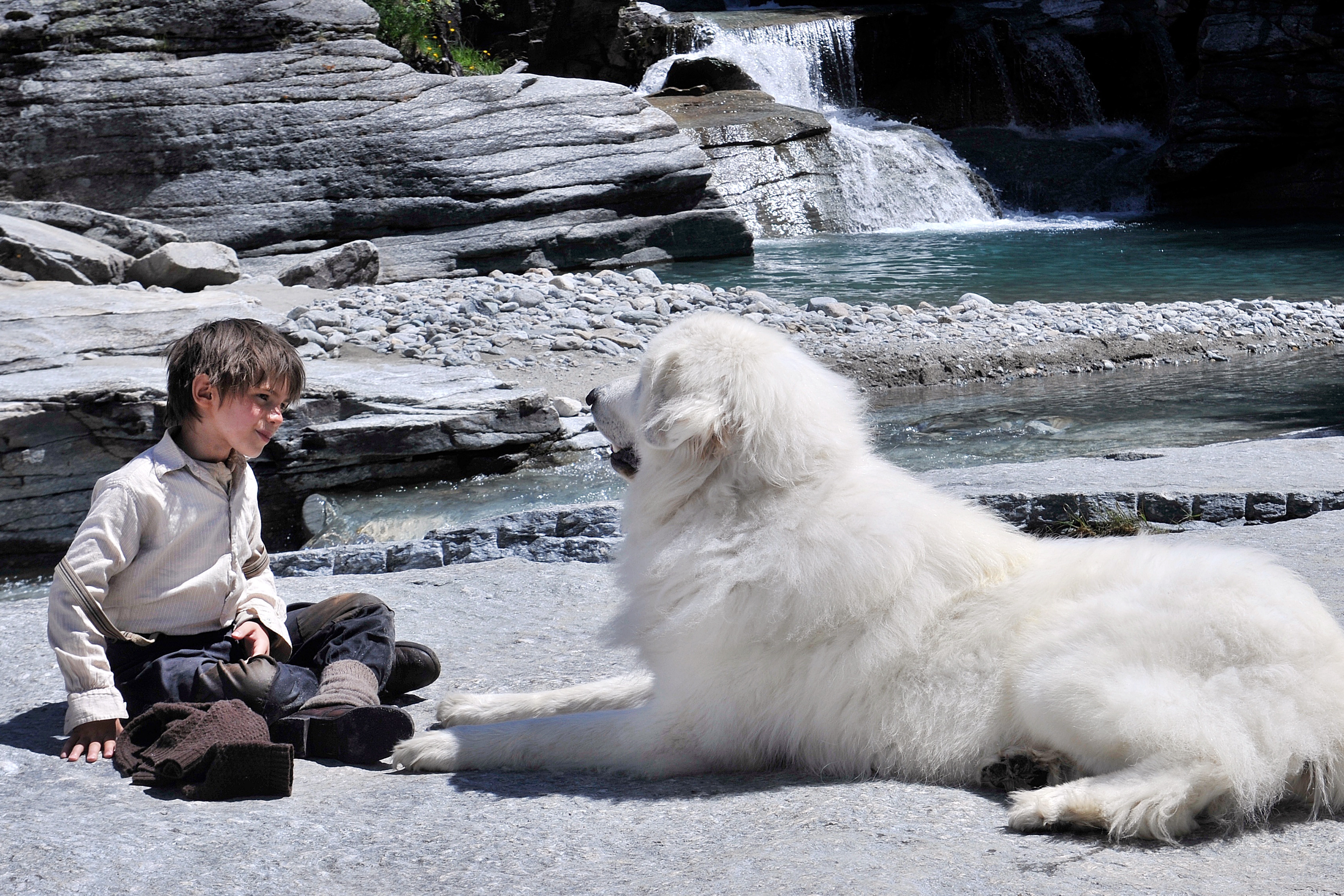 灵犬雪莉剧照的剧照
