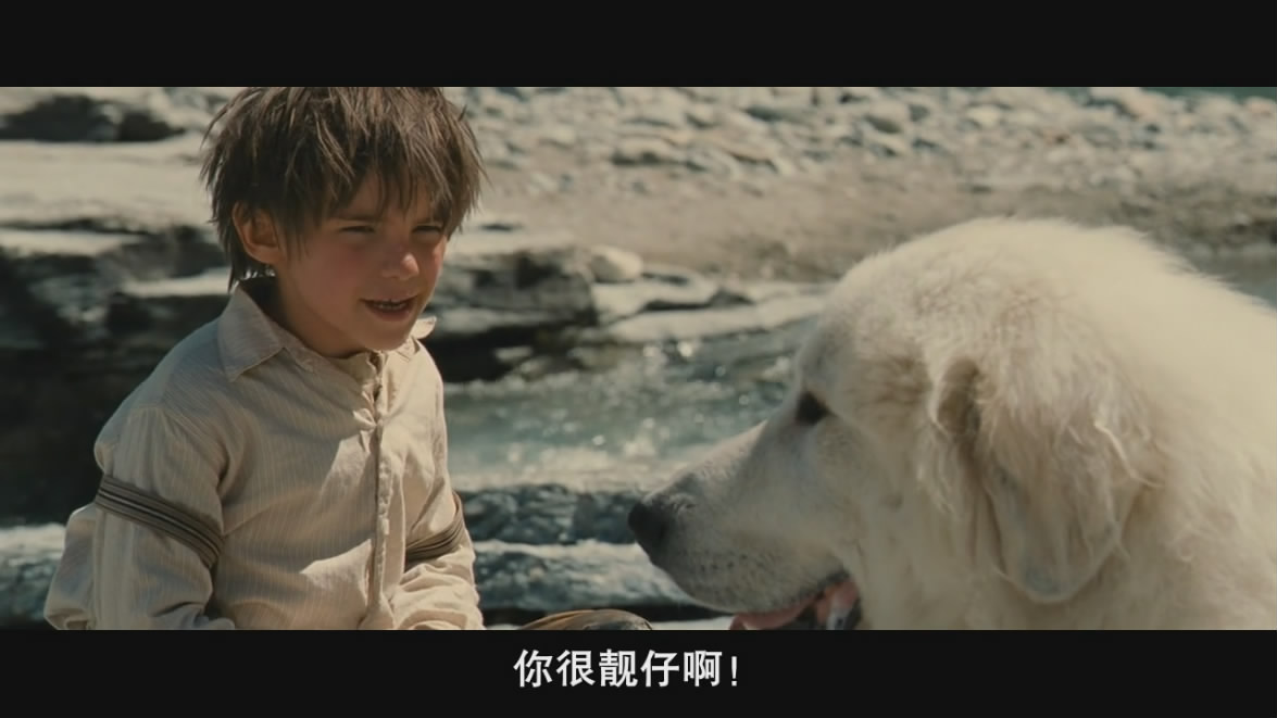 灵犬雪莉剧照的剧照