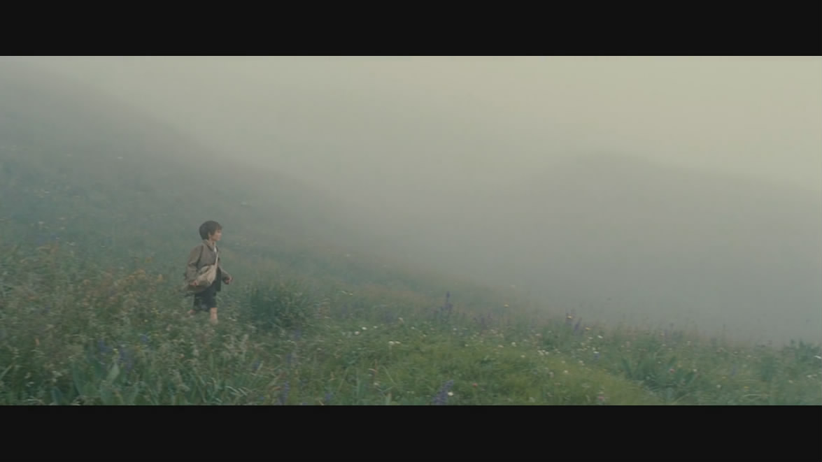 灵犬雪莉剧照的剧照