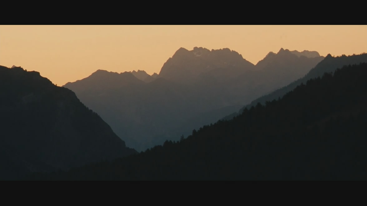 灵犬雪莉剧照的剧照