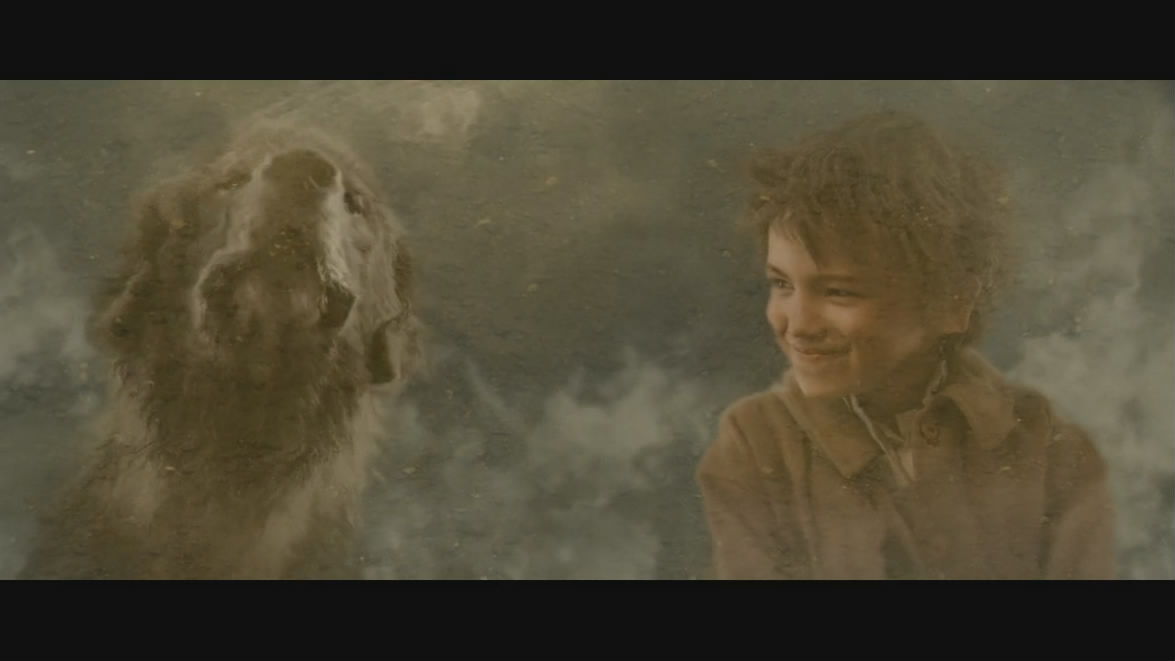 灵犬雪莉剧照的剧照