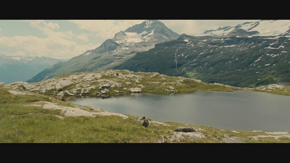 灵犬雪莉剧照的剧照