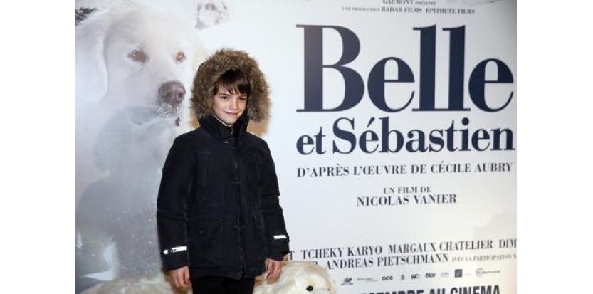 灵犬雪莉剧照的剧照