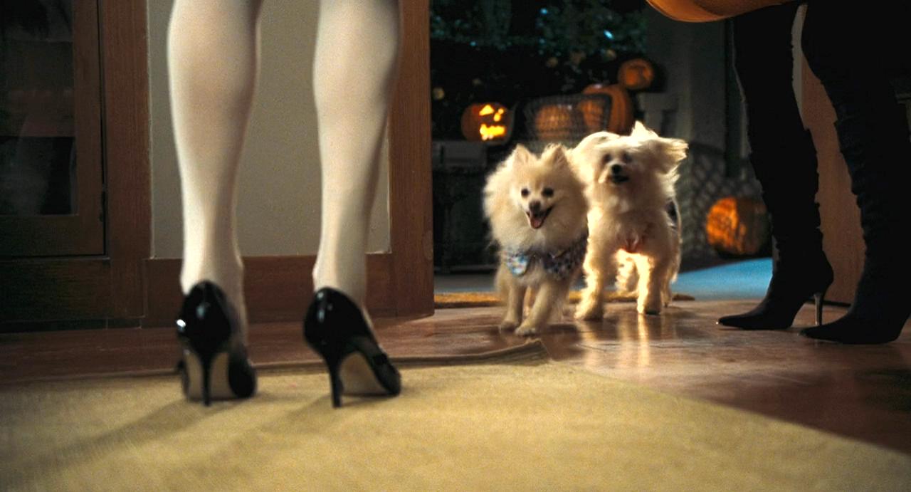 老妈爱死你剧照的剧照