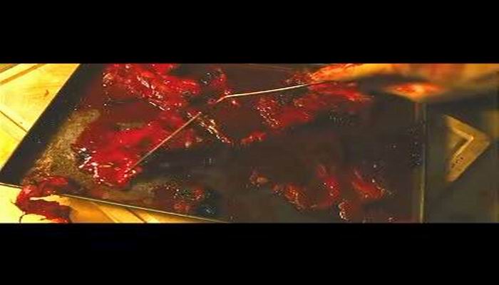 黑色圣诞节剧照的剧照