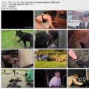 我在你的尸体上撒尿剧照