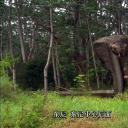 科莫多龙vs金刚巨蟒剧照