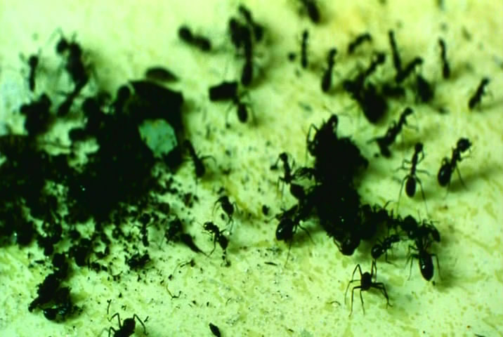 千禧年剧照的剧照