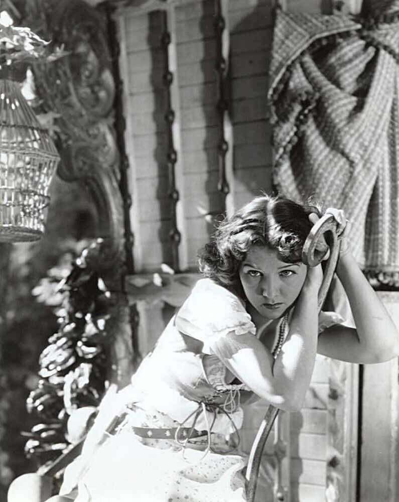 大篷车剧照的剧照