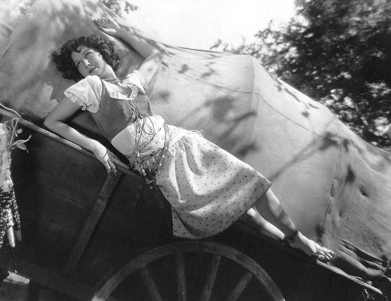 大篷车剧照的剧照