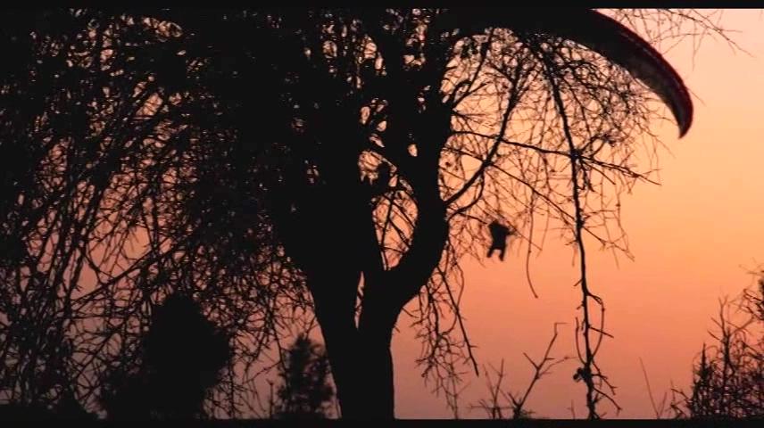 尸地余生2剧照的剧照