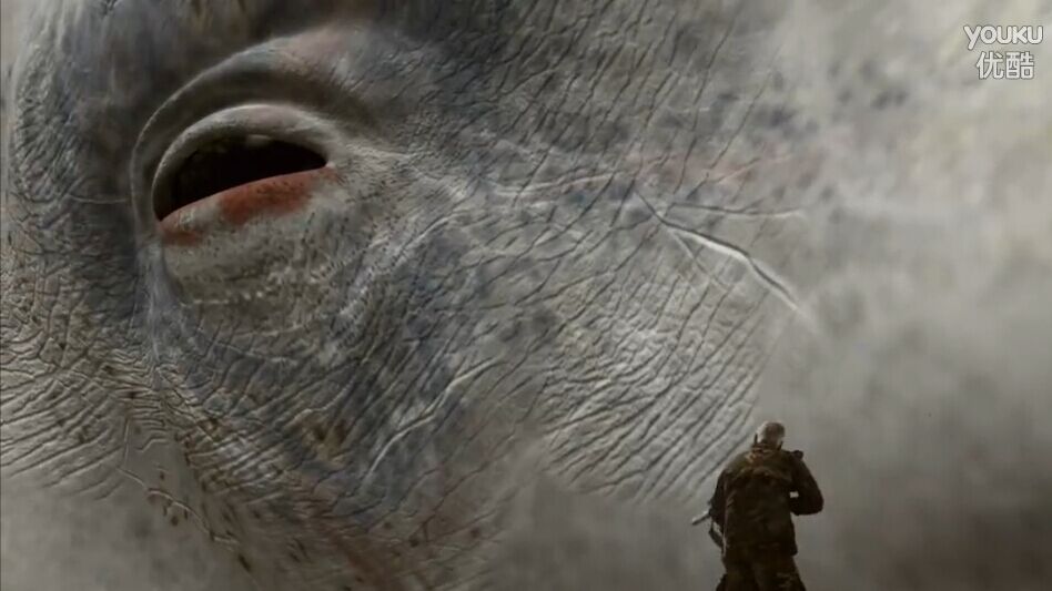 白鲸记剧照的剧照