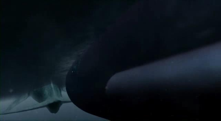 白鲸记剧照的剧照