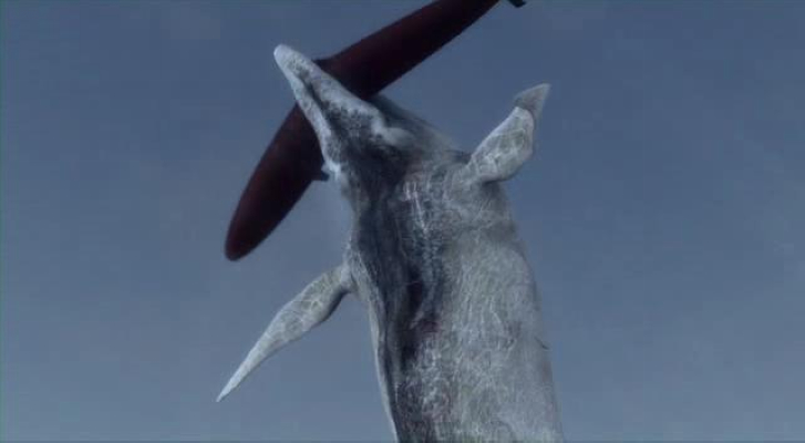 白鲸记剧照的剧照