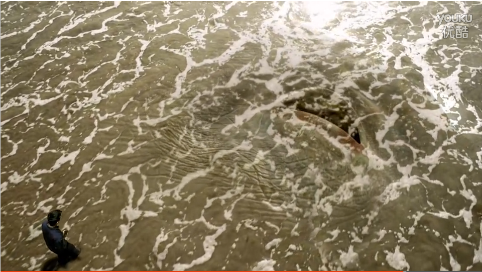 白鲸记剧照的剧照