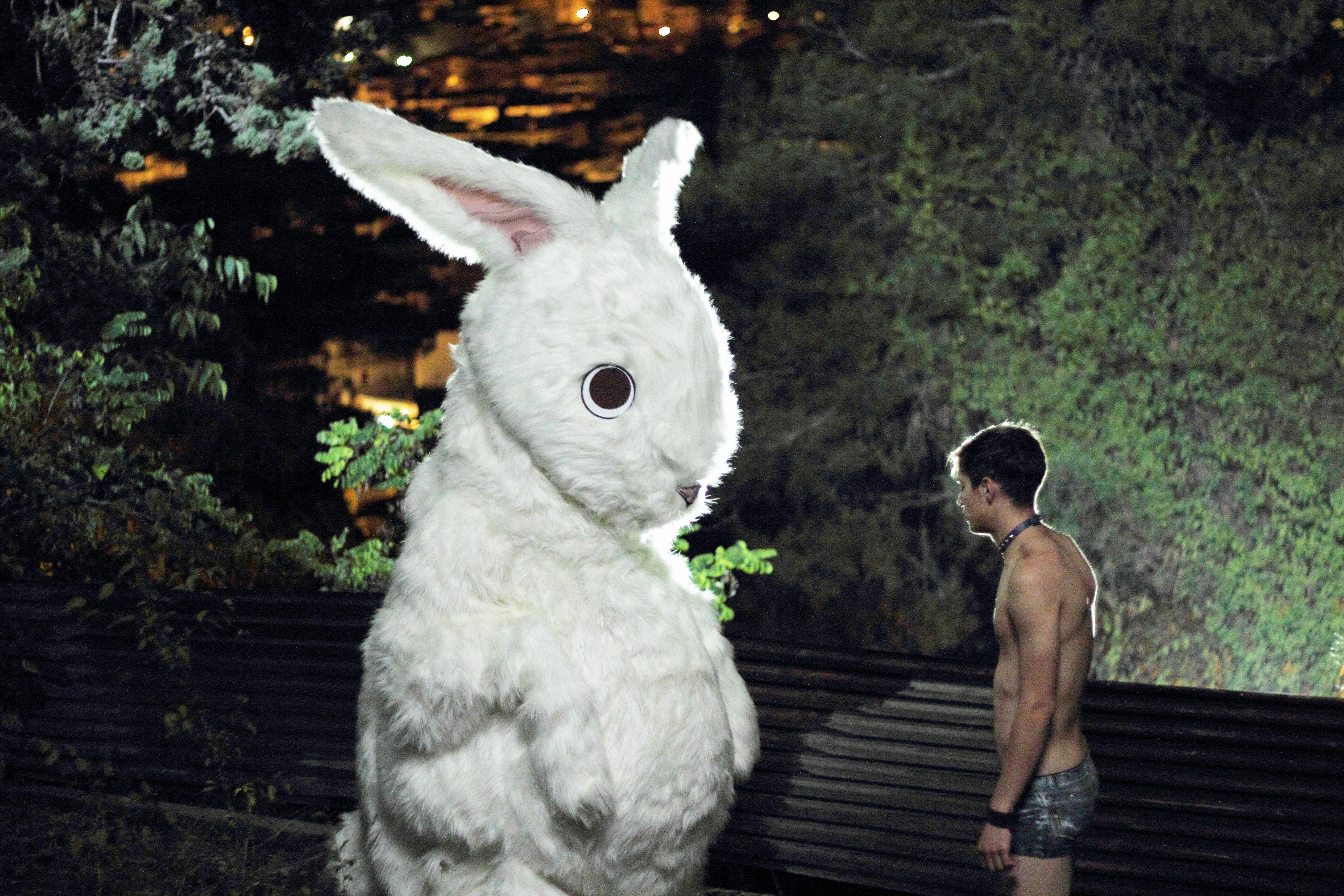 仙尼亚剧照的剧照