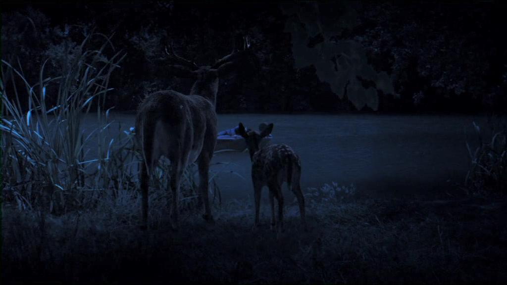 仙尼亚剧照的剧照