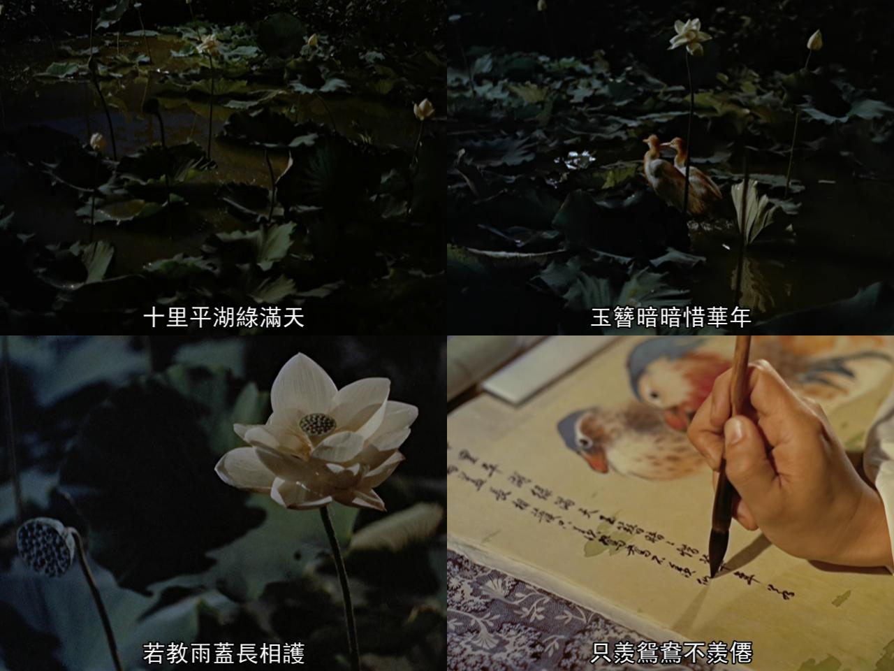 倩女幽魂剧照的剧照