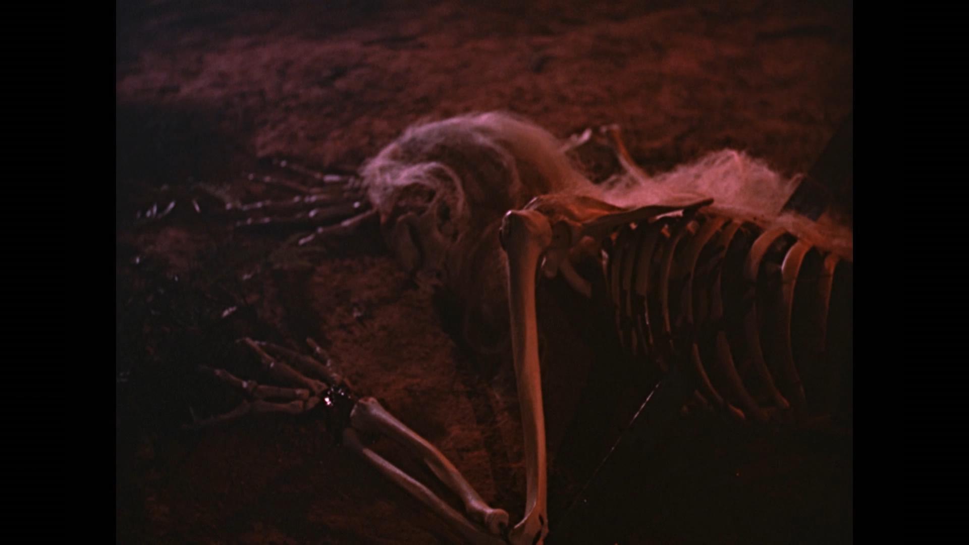 倩女幽魂剧照的剧照