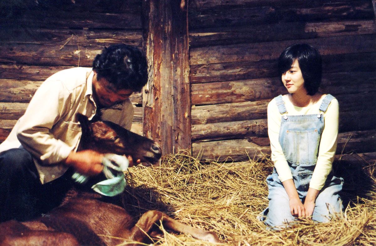 方糖剧照的剧照