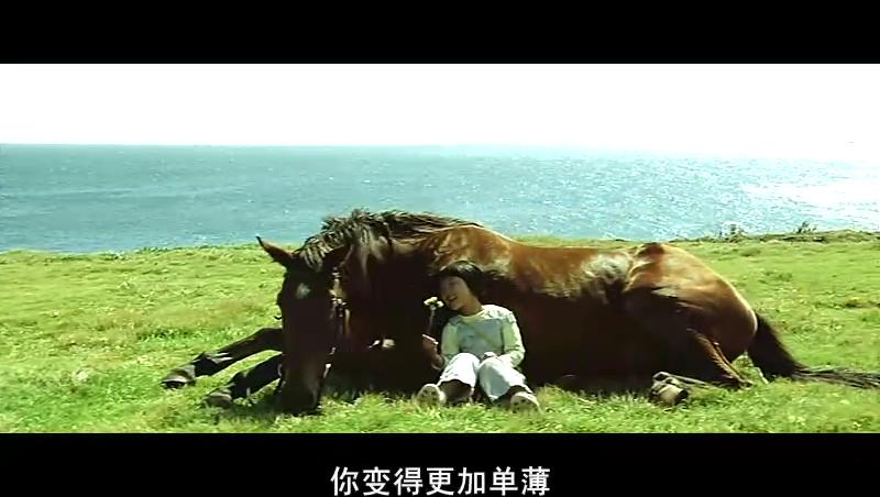 方糖剧照的剧照