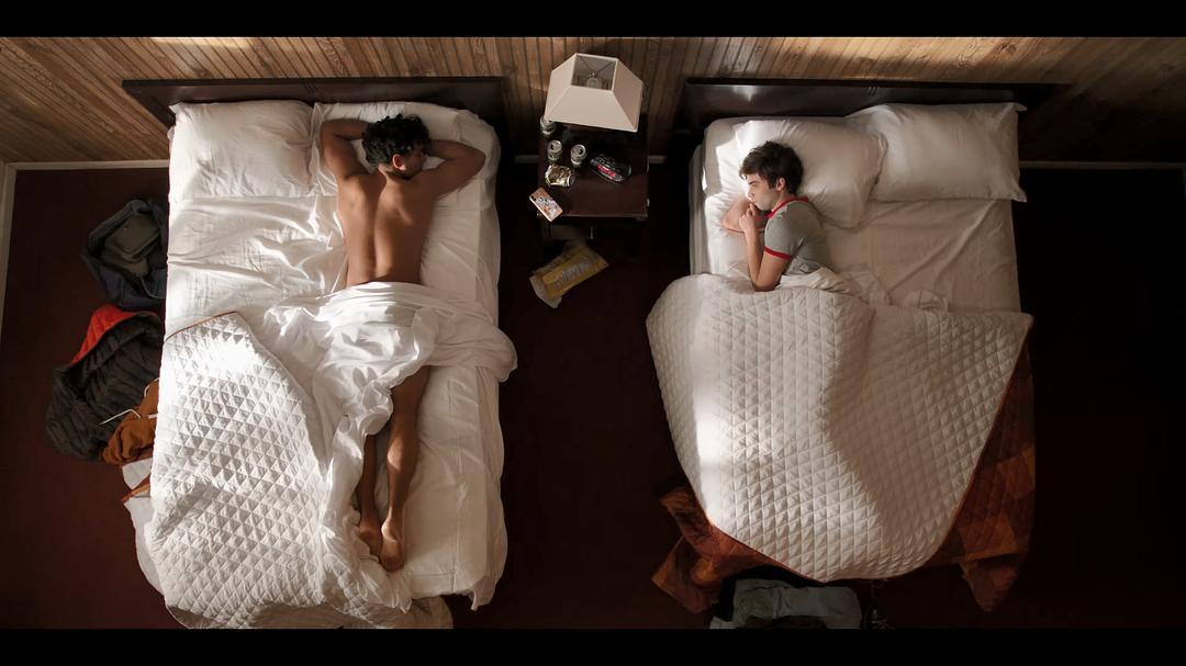 关于哈利的那些事剧照的剧照