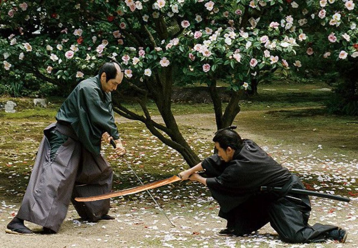 山茶花飘零剧照的剧照