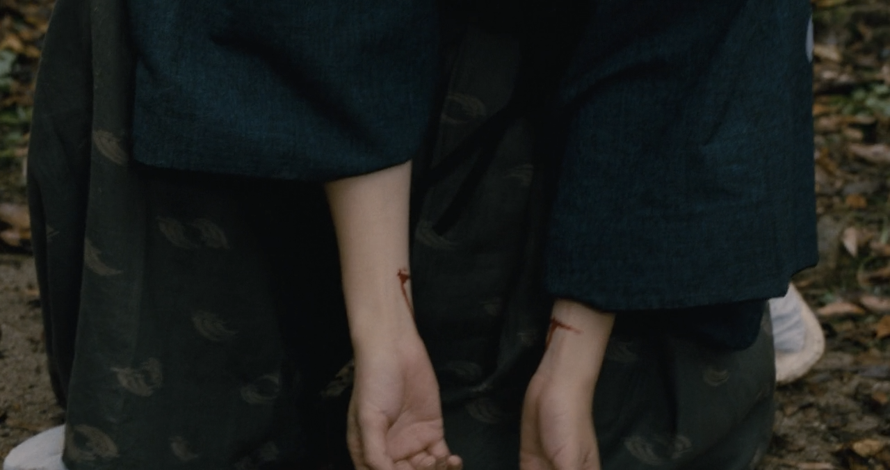 山茶花飘零剧照的剧照